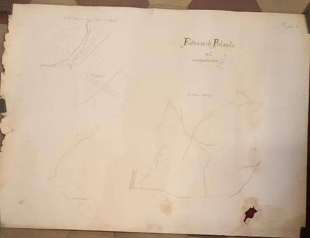 Fattoria Di Palaiol… - image