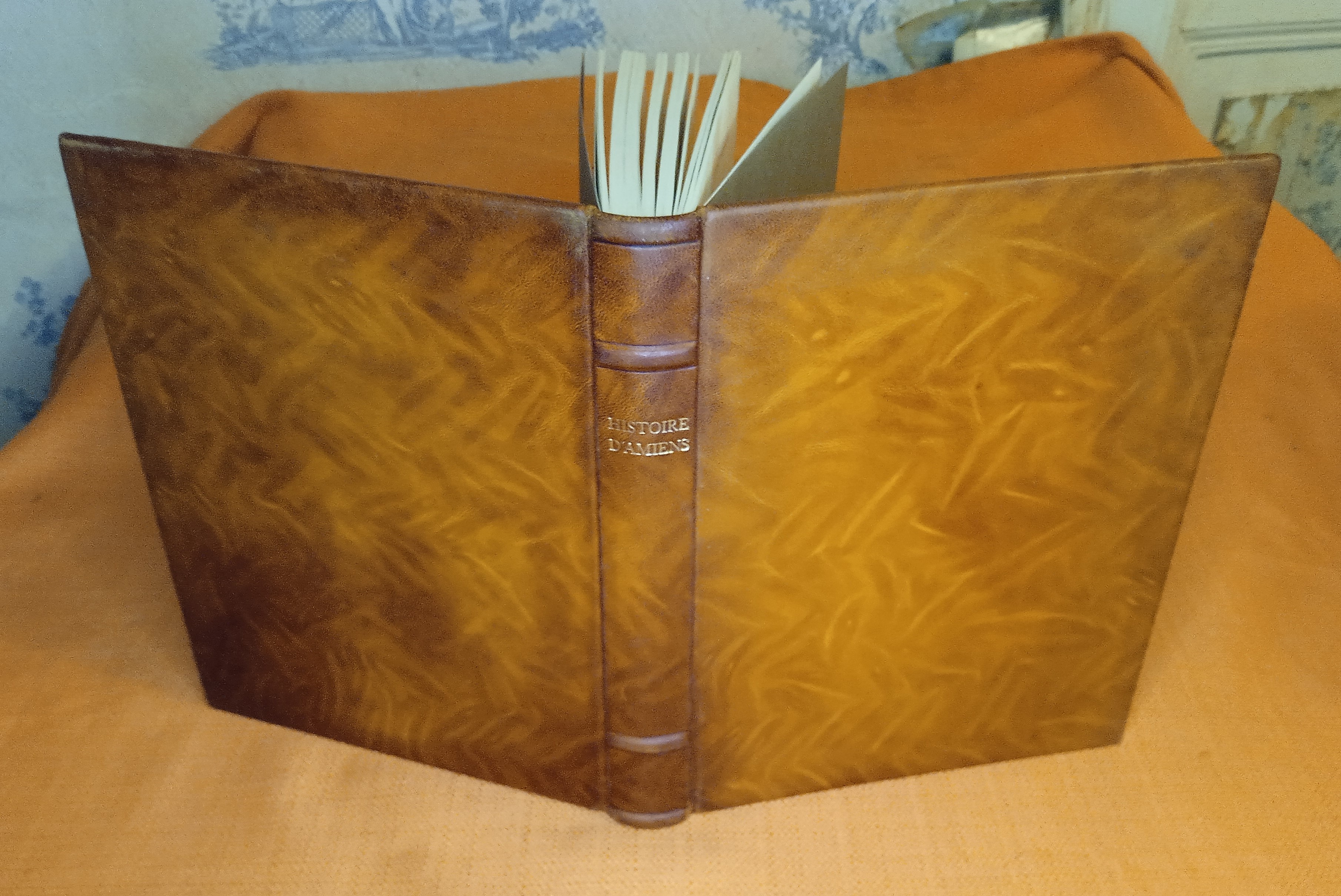 Histoire D'amiens ,…