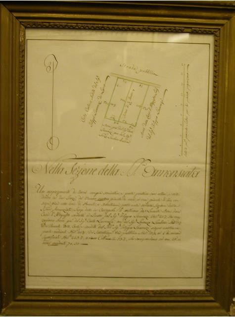 Nella Sezione Della… - image