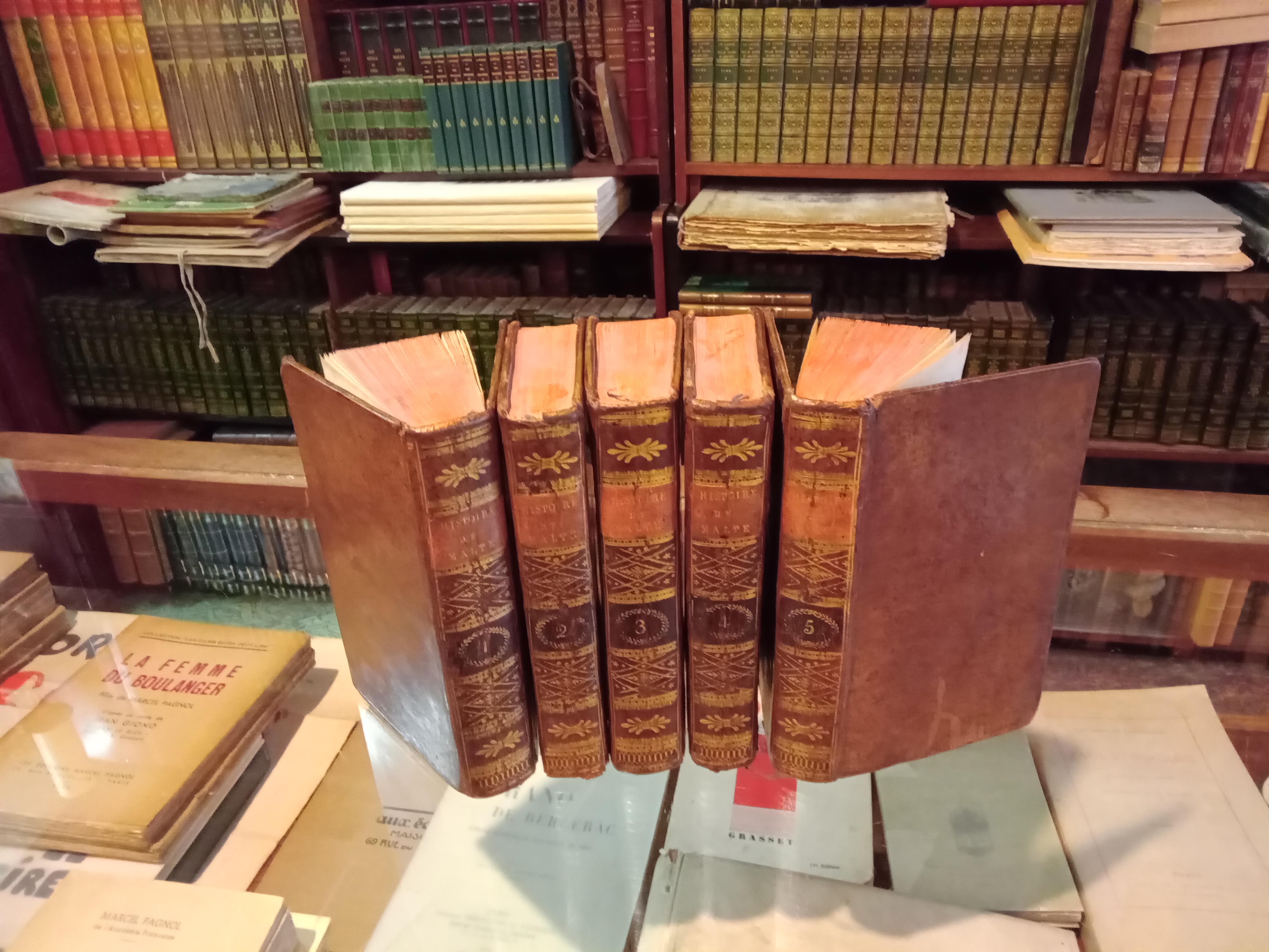 Histoire Des Cheval…