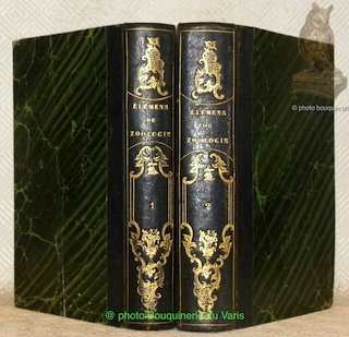 EléMents De Zoologi…