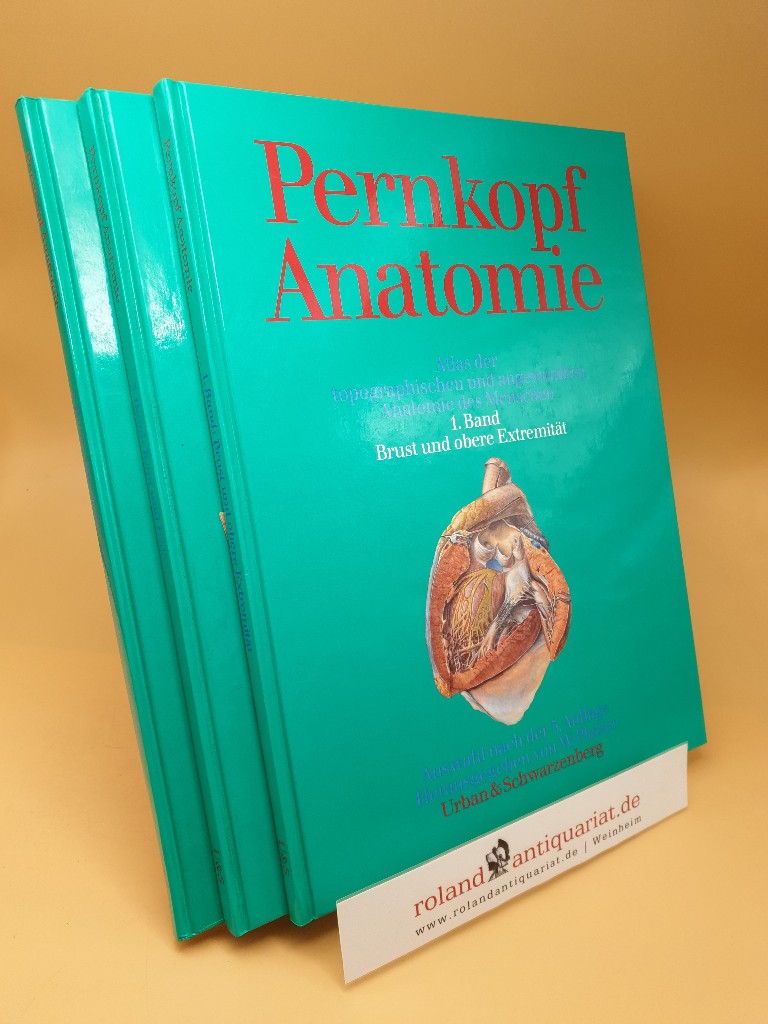 Pernkopf Anatomie -…