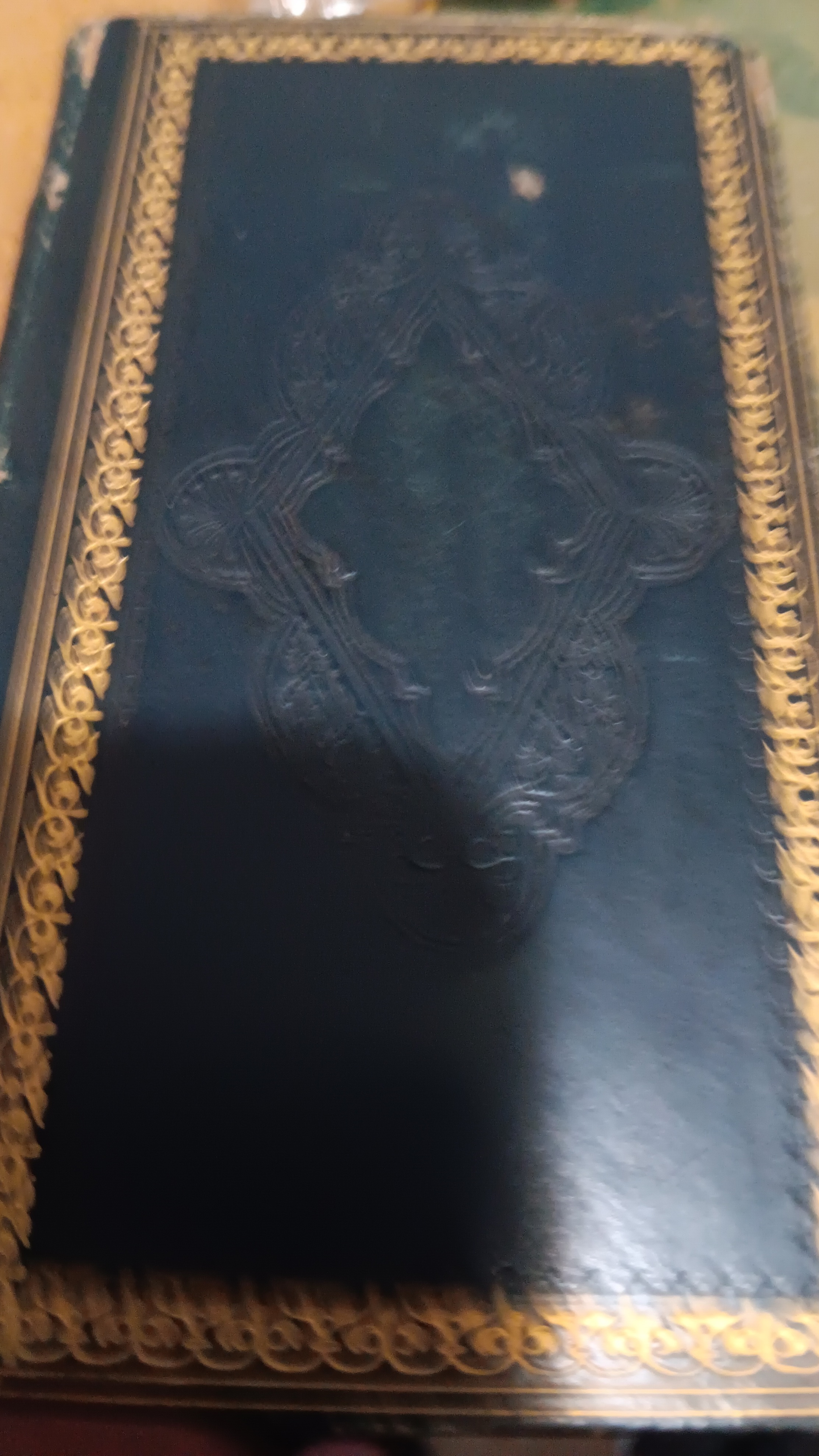 Ovids Metamorphoses…