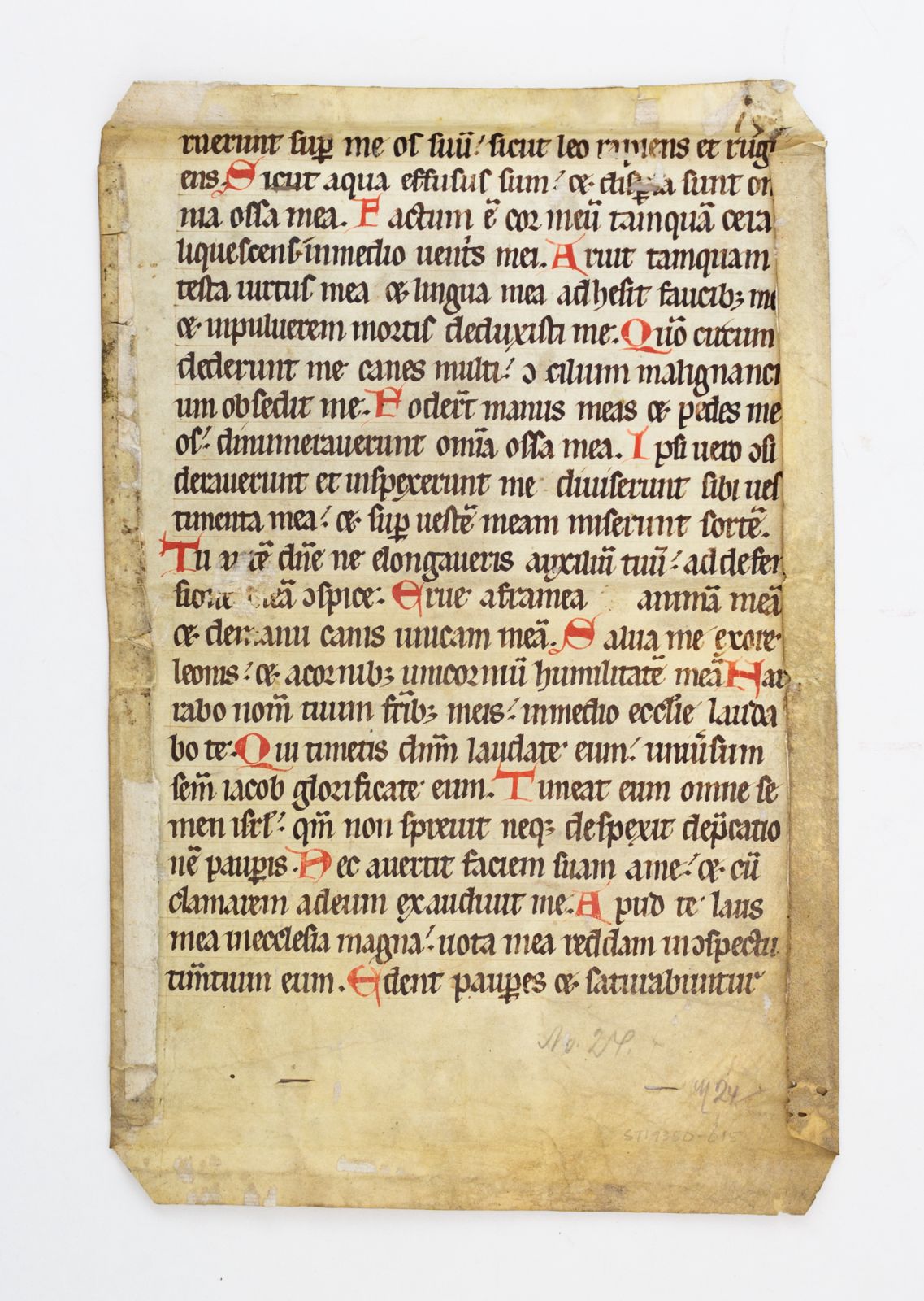 Text From Psalms 21…