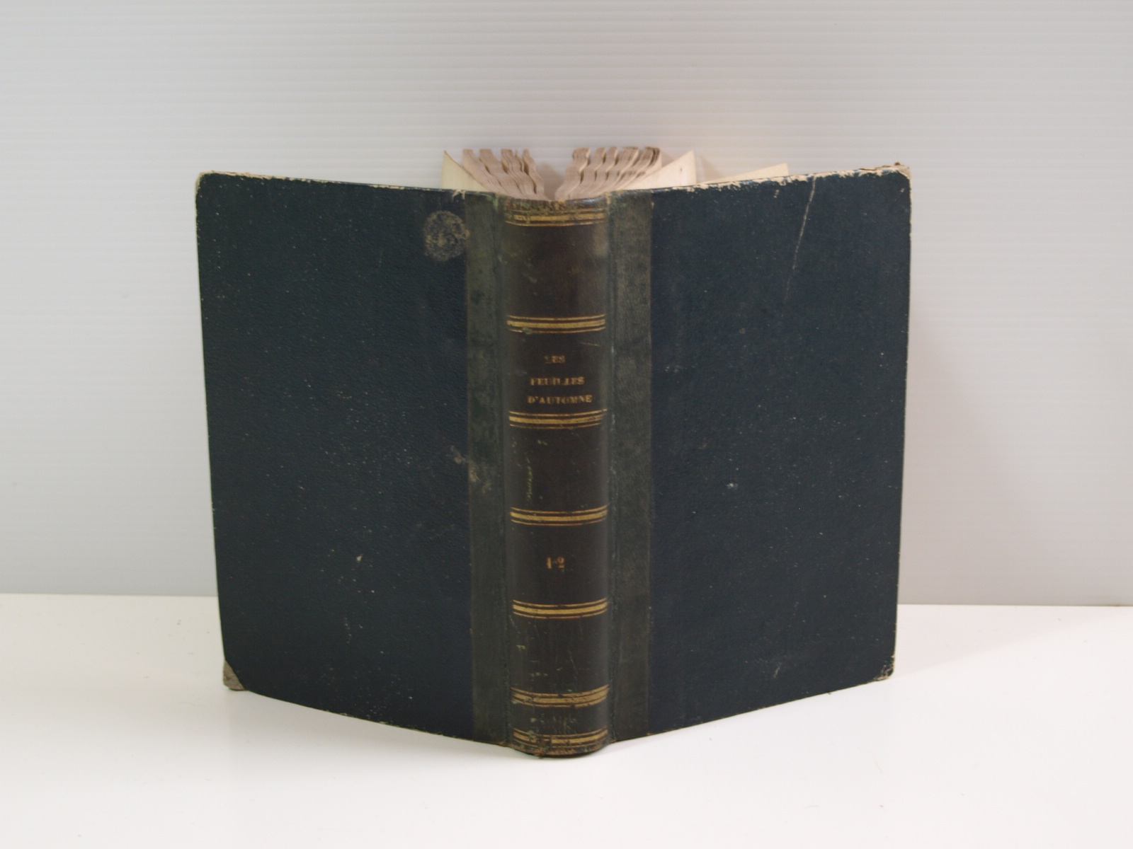 Les Feuilles D'auto…