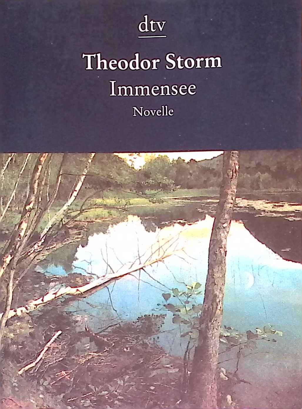 Immensee : Novelle. dtv ; 8339 : Die Taschenbibliothek - Storm, Theodor