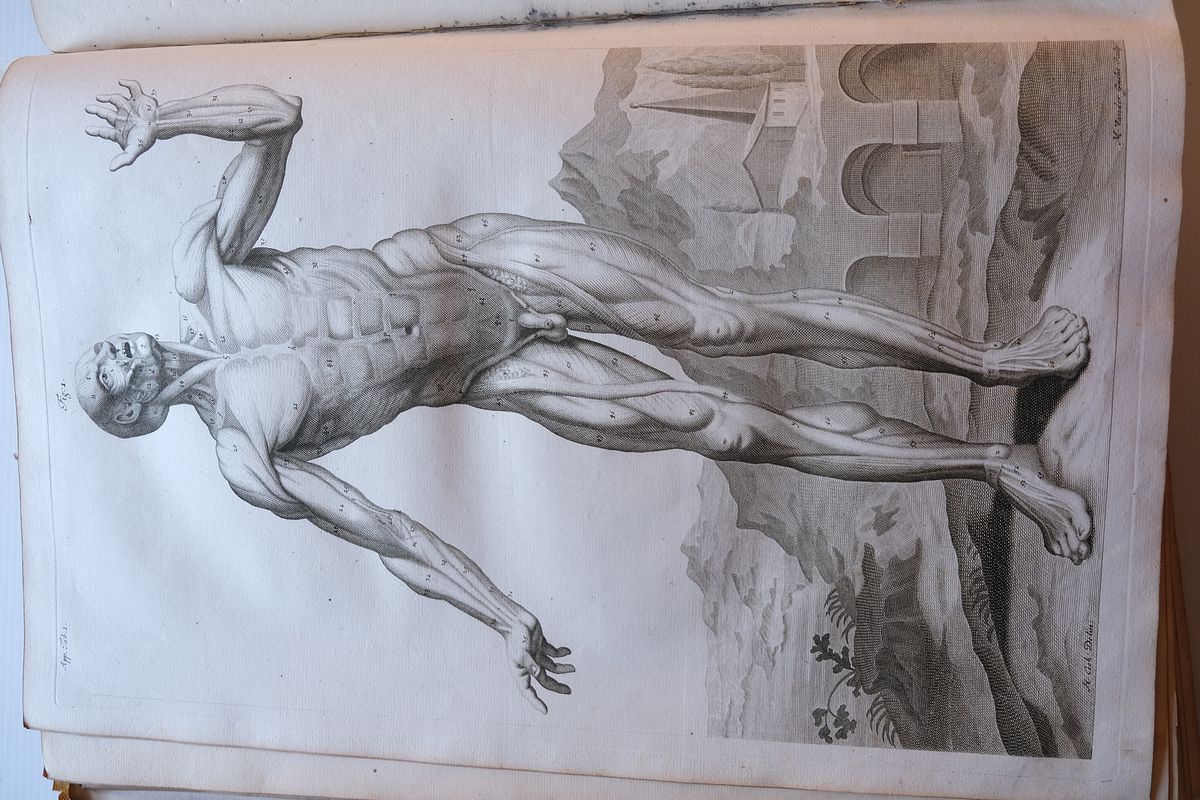 Anatomia Corporum H…