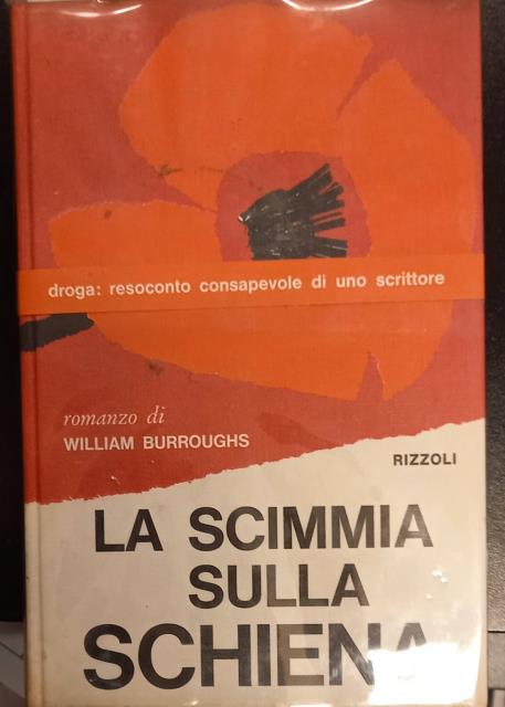 La Scimmia Sulla Sc… - image