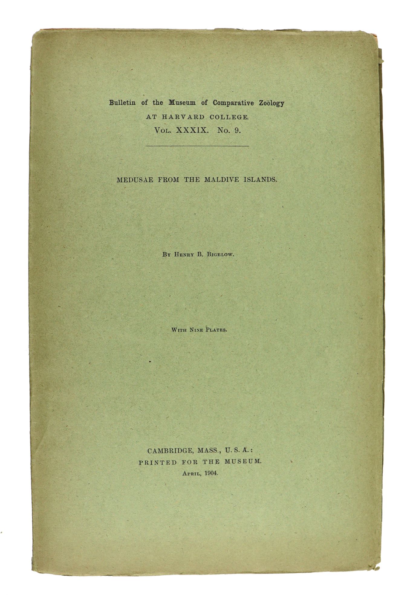 Medusae From The Ma…