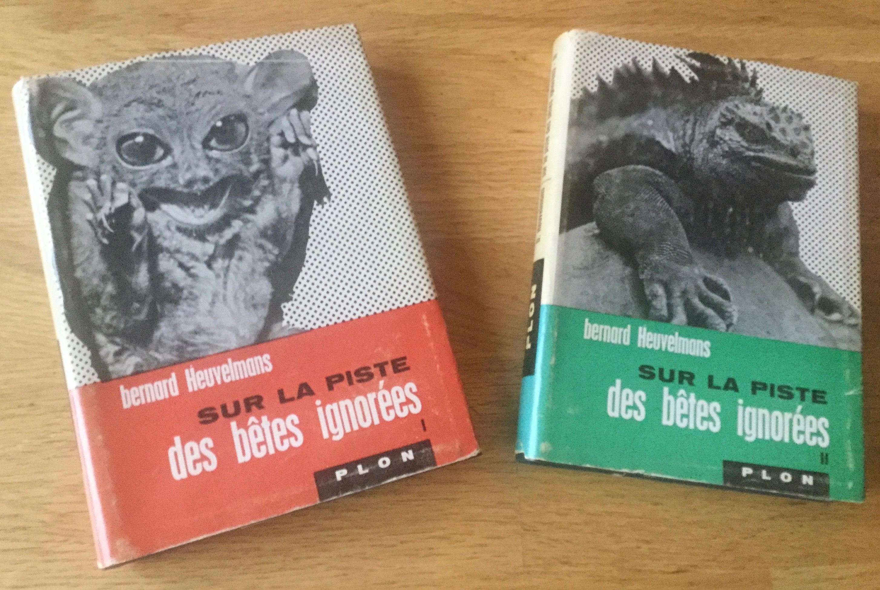 Sur La Piste Des Bê…