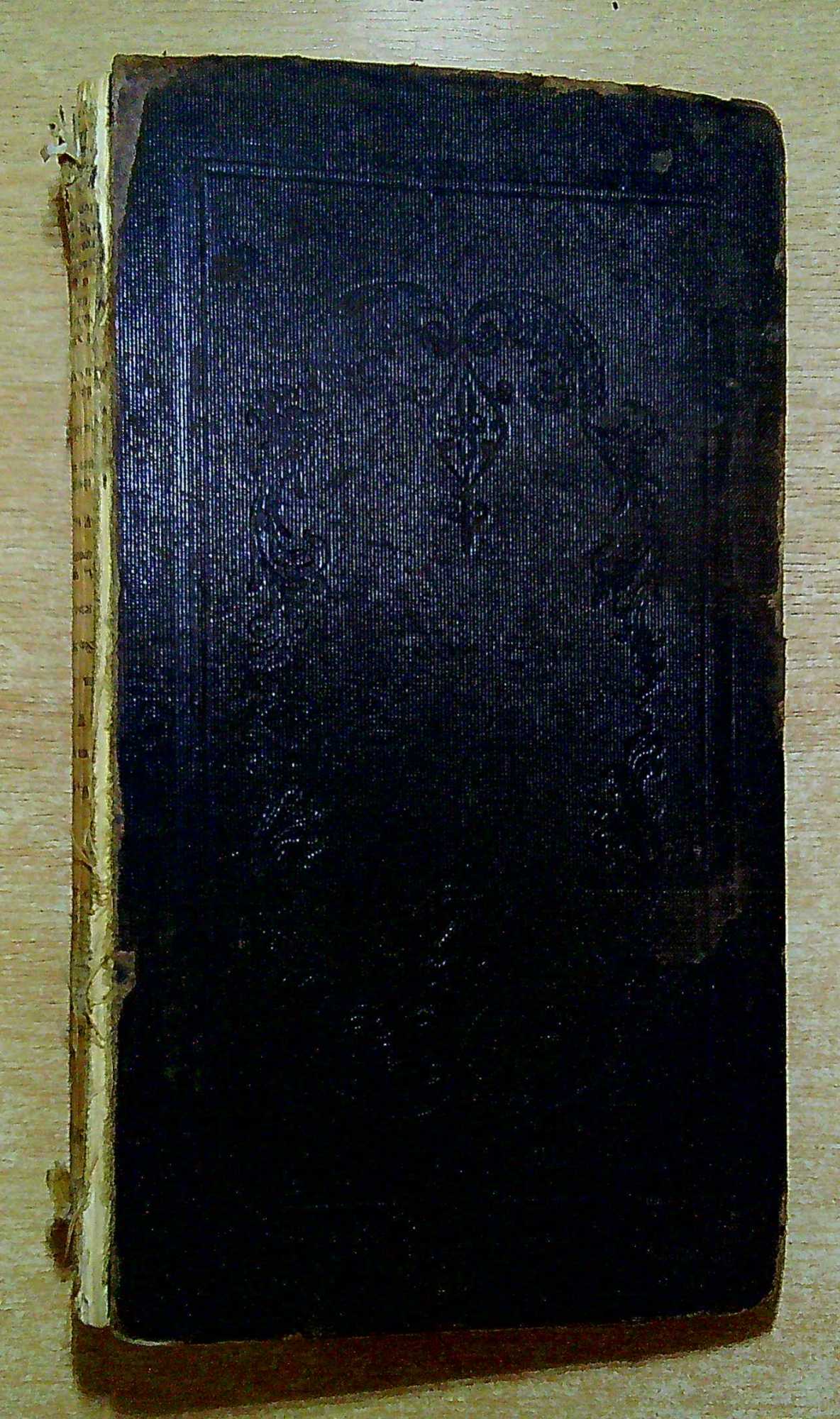 Journal Of Two Visi…