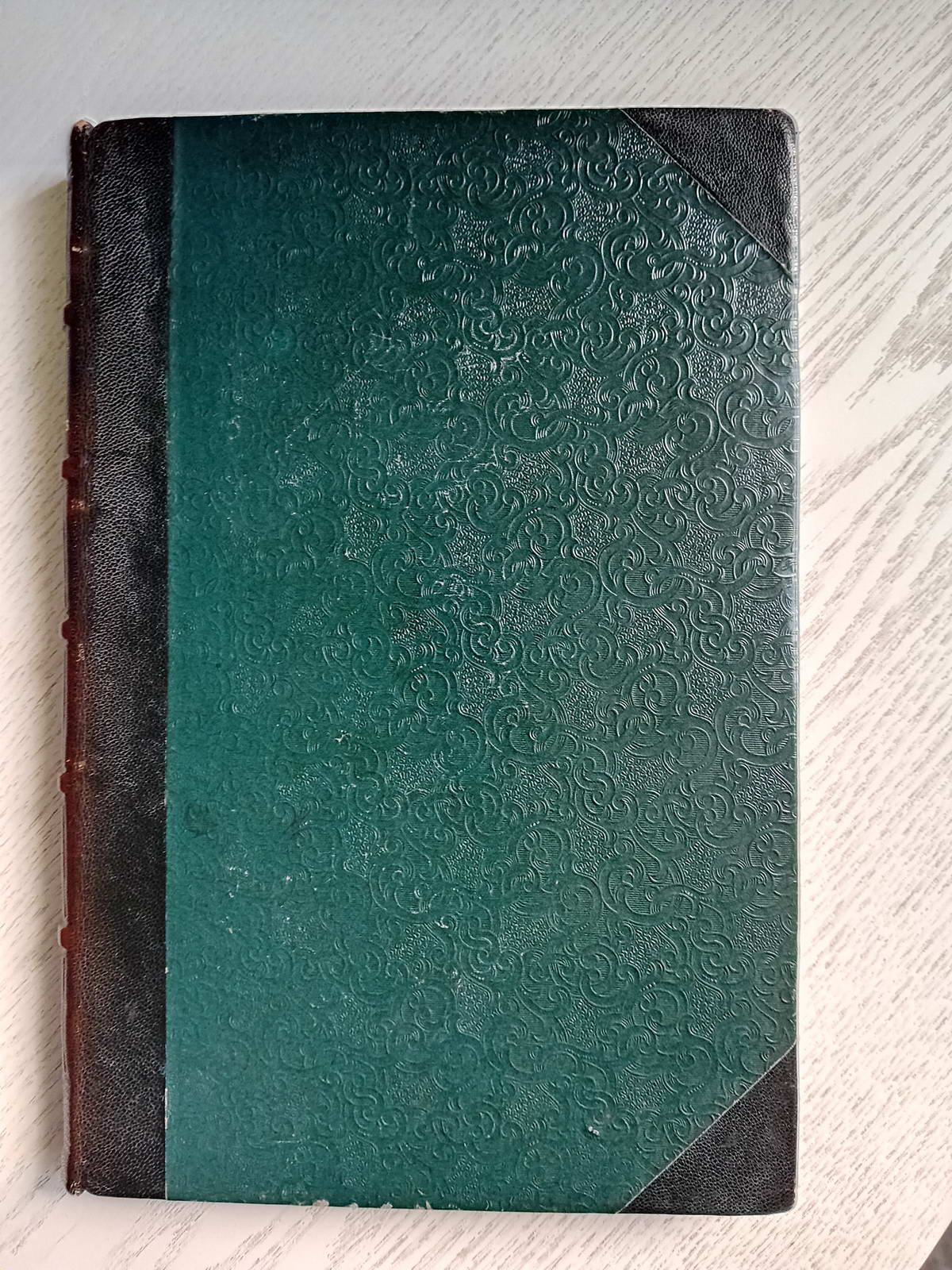 L'esprit Des BêTes …