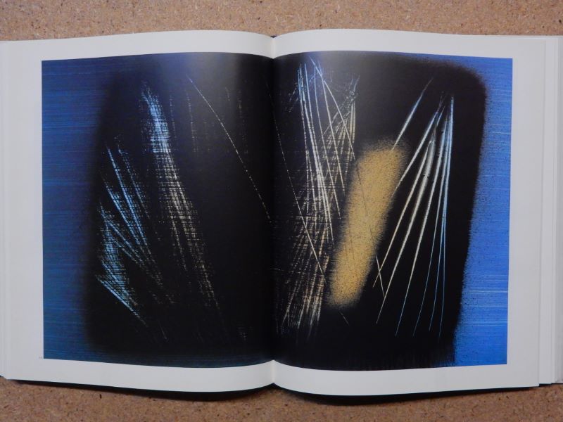 Hartung. Daix Pierre