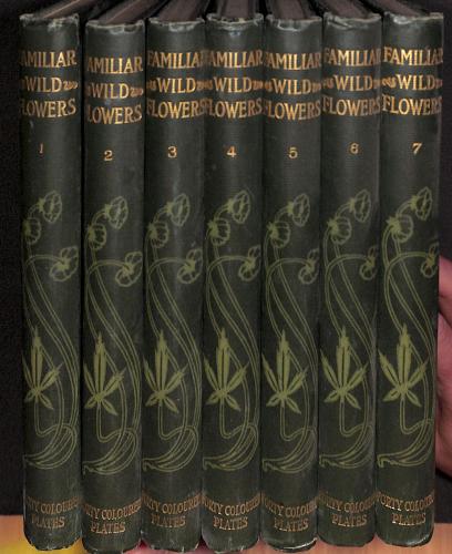 Familiar Wild Flowe…