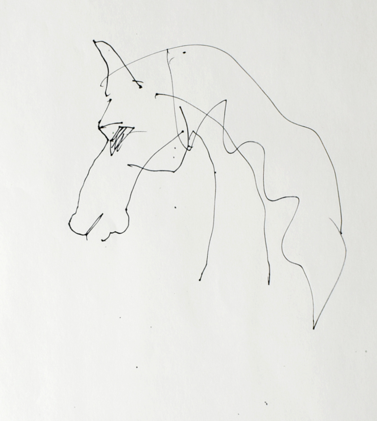 Study Of A Horse He…