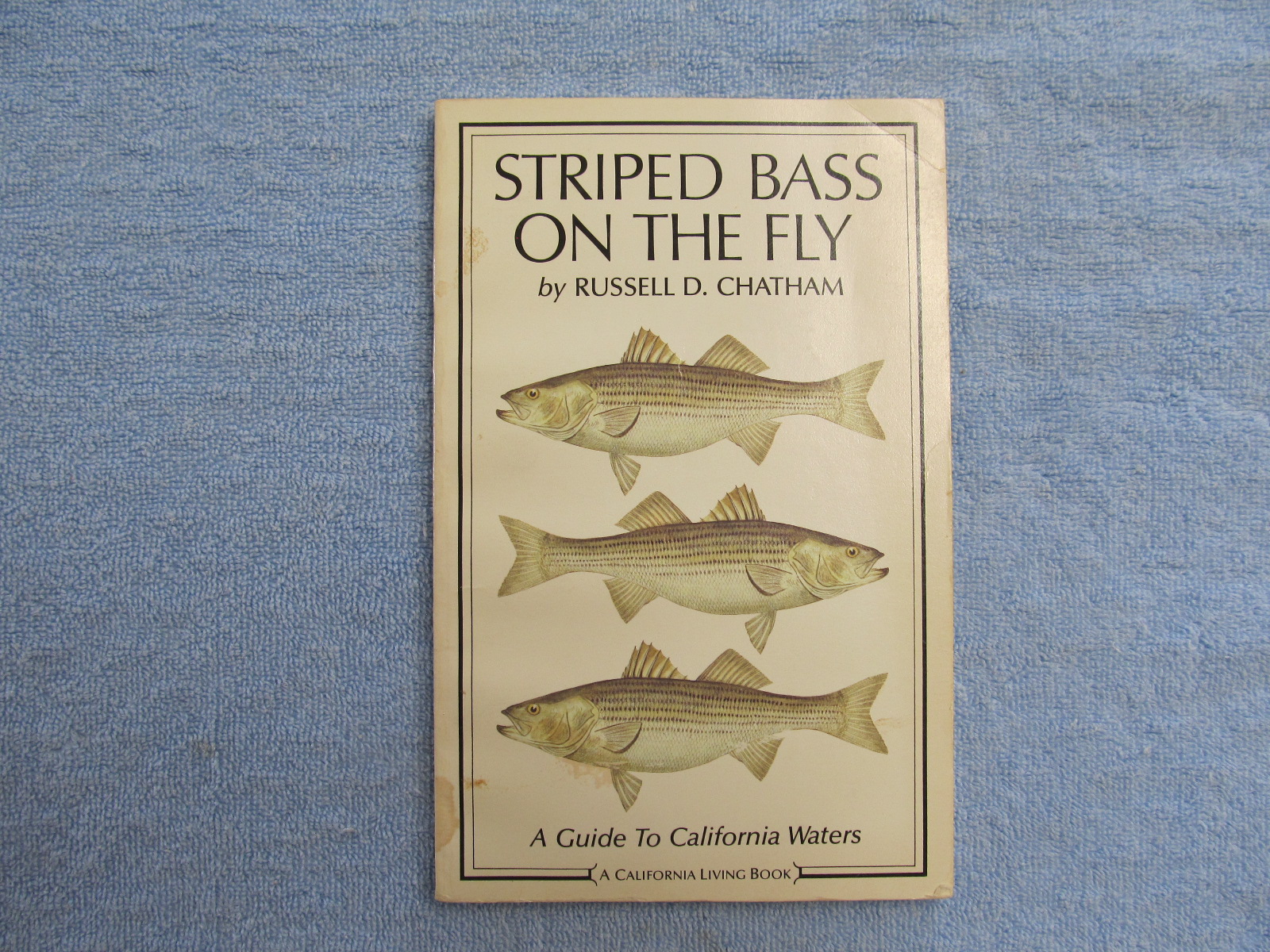 Striped Bass On The…