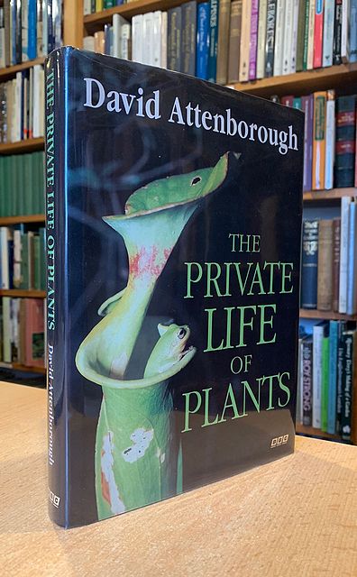 The Private Life Of… - image