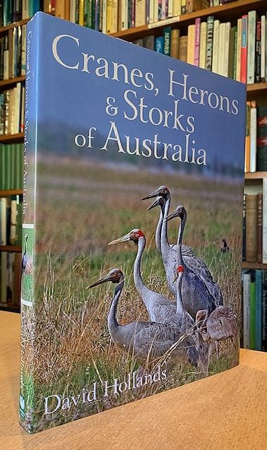 Cranes, Herons & St…