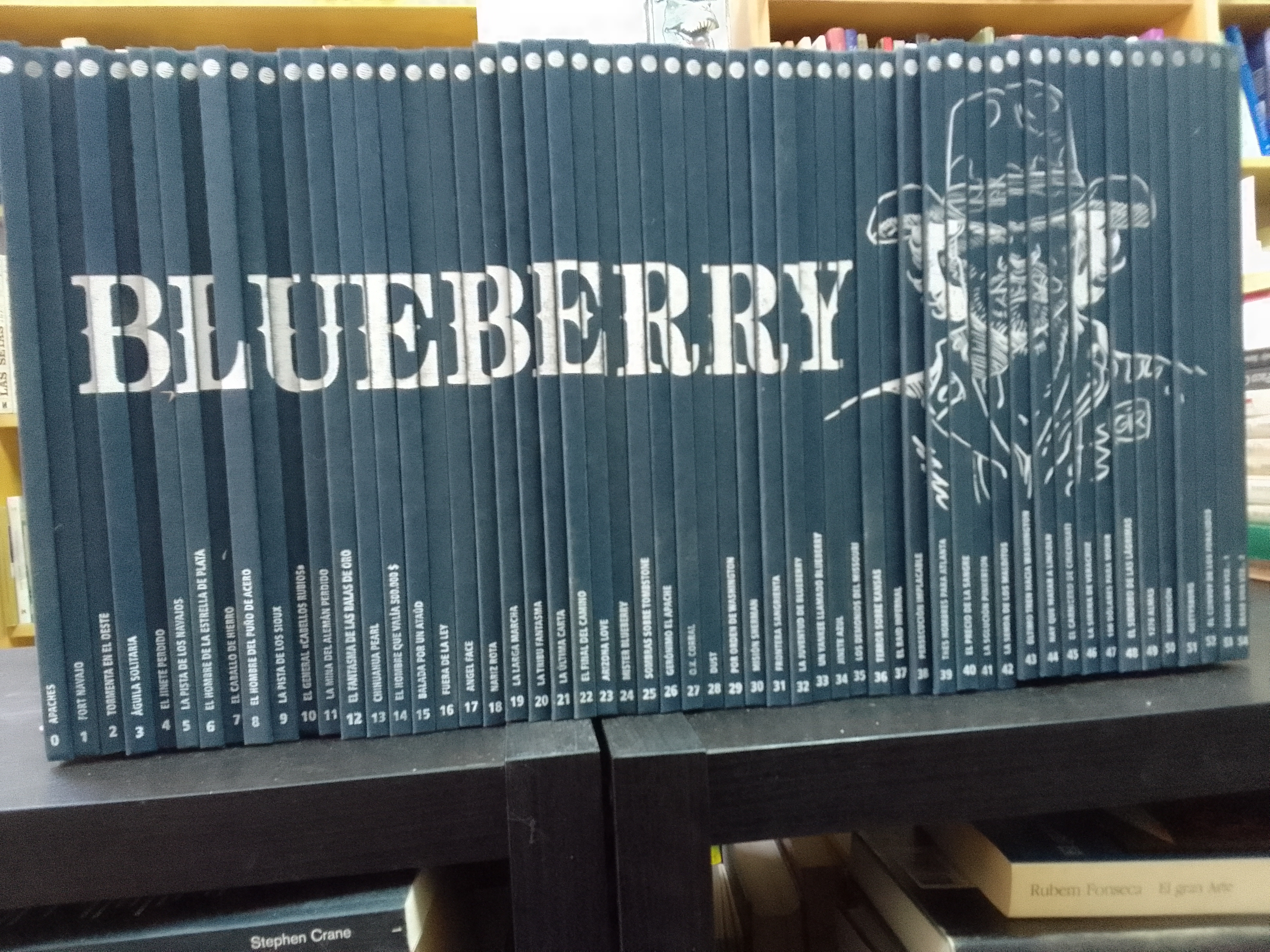 Blueberry (55 Tomos…