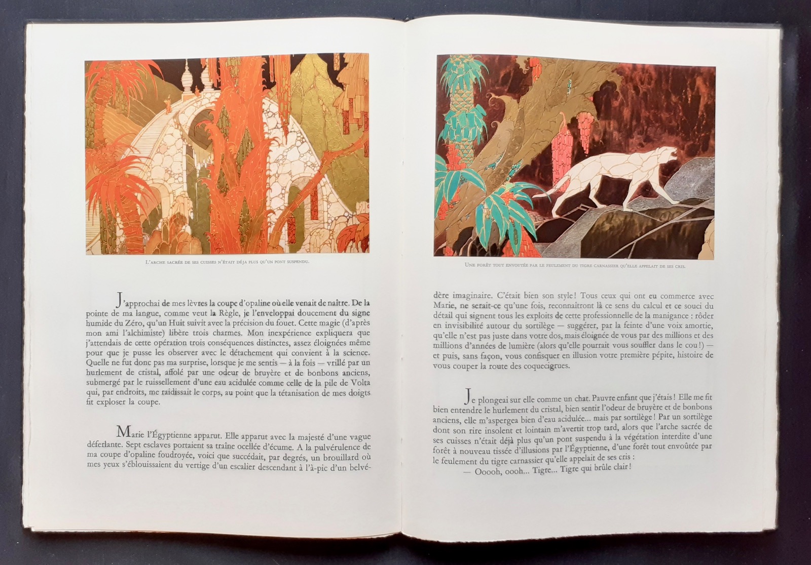 Magie Noire - Sire …