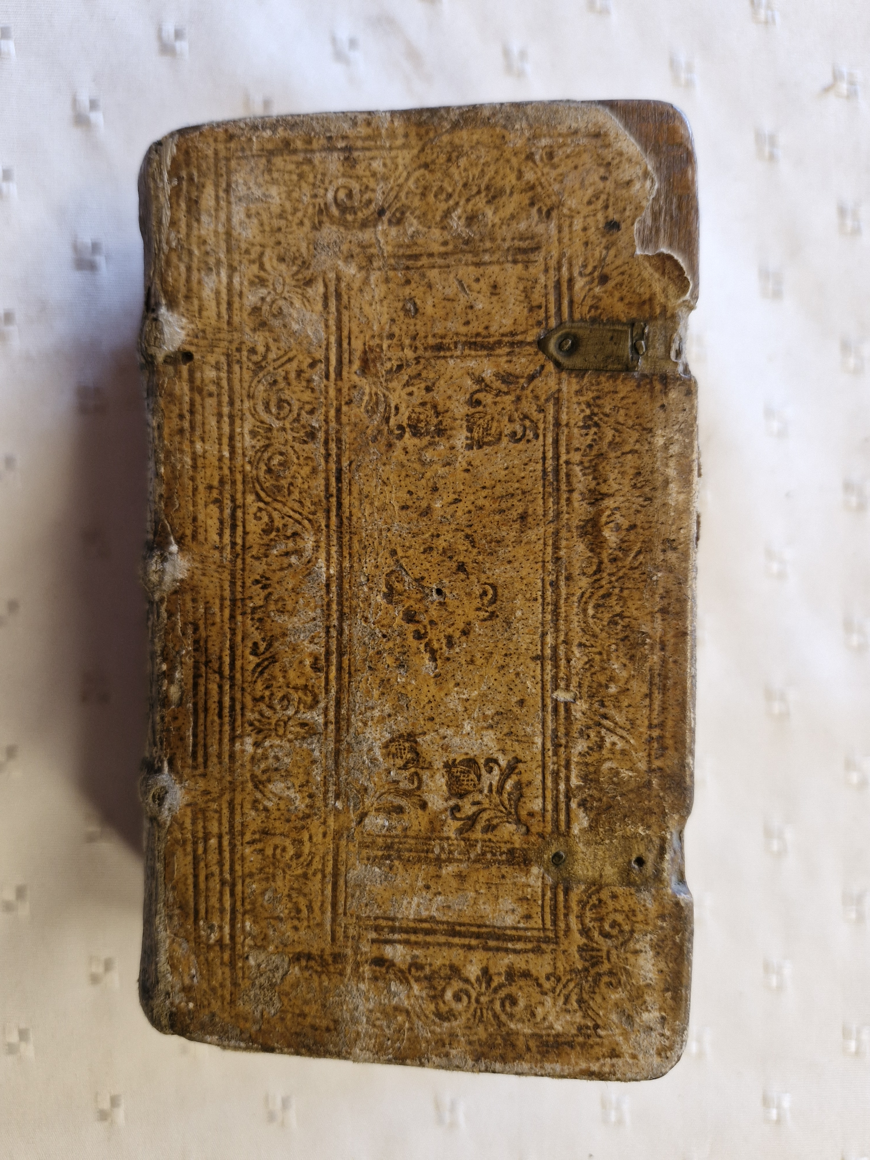 Stimuli Virtutum Ad…