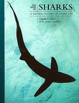 The Lives Of Sharks…
