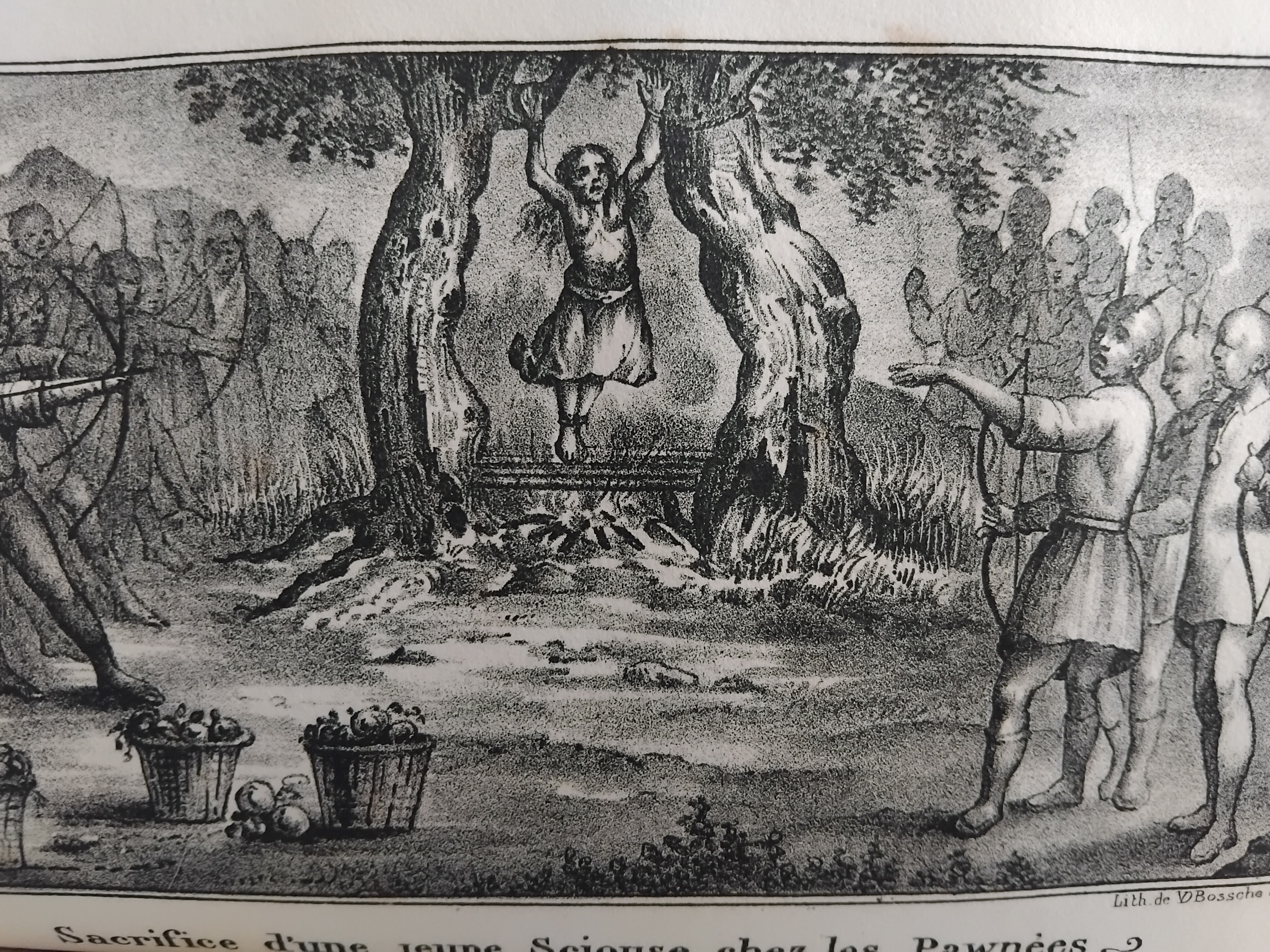 Voyages Aux Montagn…