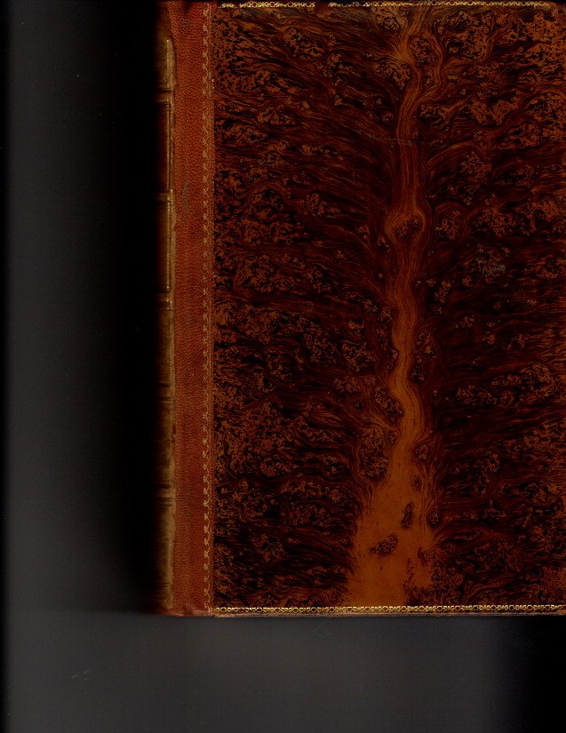 History Of British …