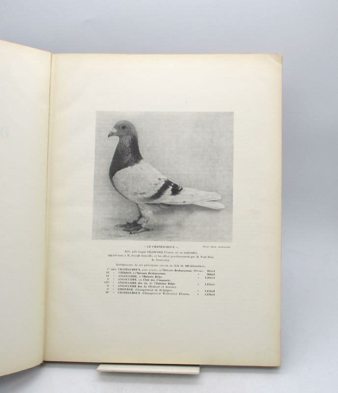 L'aptitude Au Vol D…