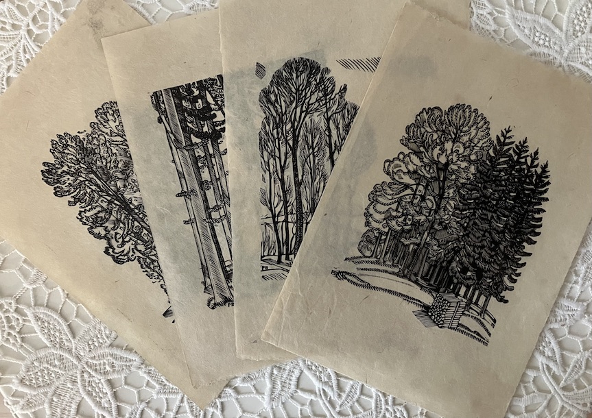 4 Arbres * Boesch P… - image