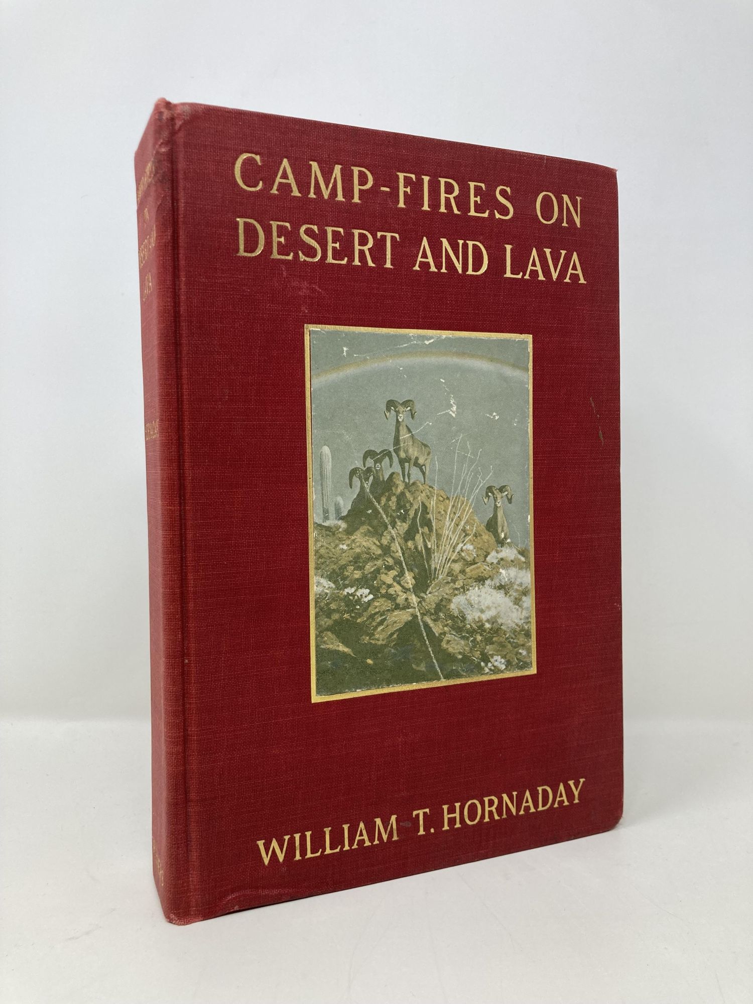 Camp-Fires On Deser…