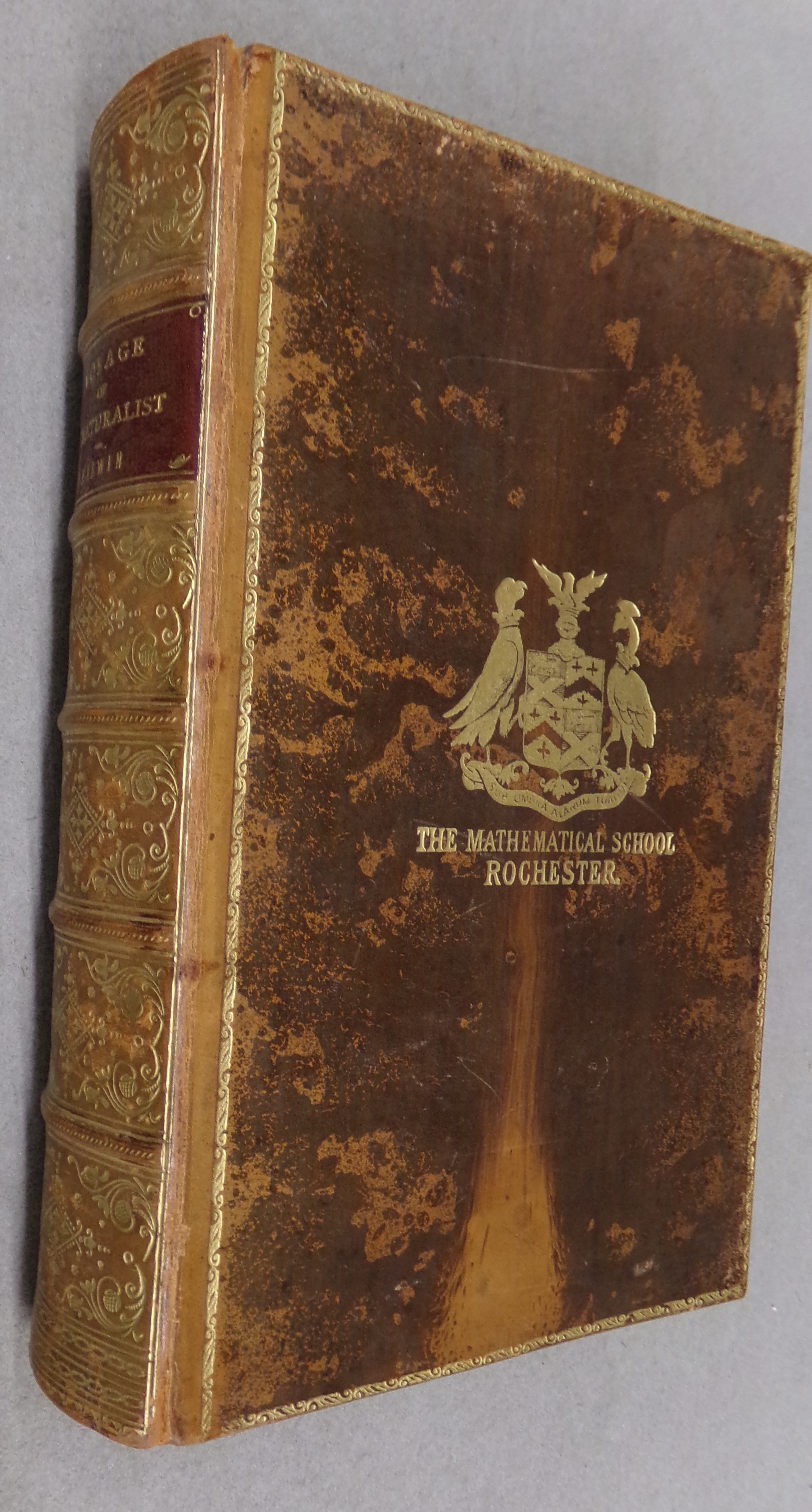 Journal Of Research…