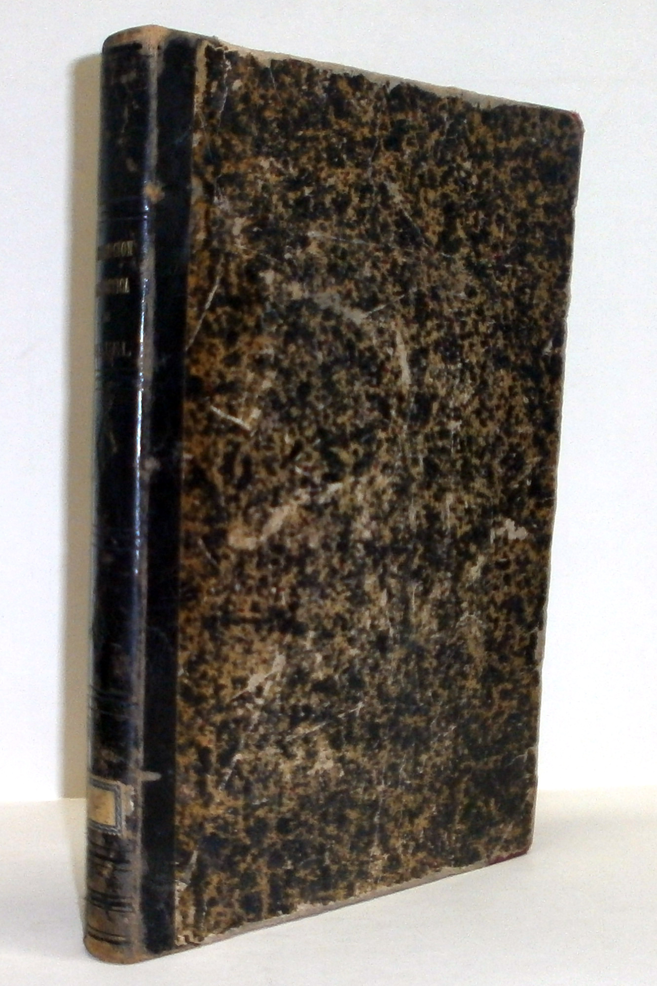 Ensayo De Descripci…