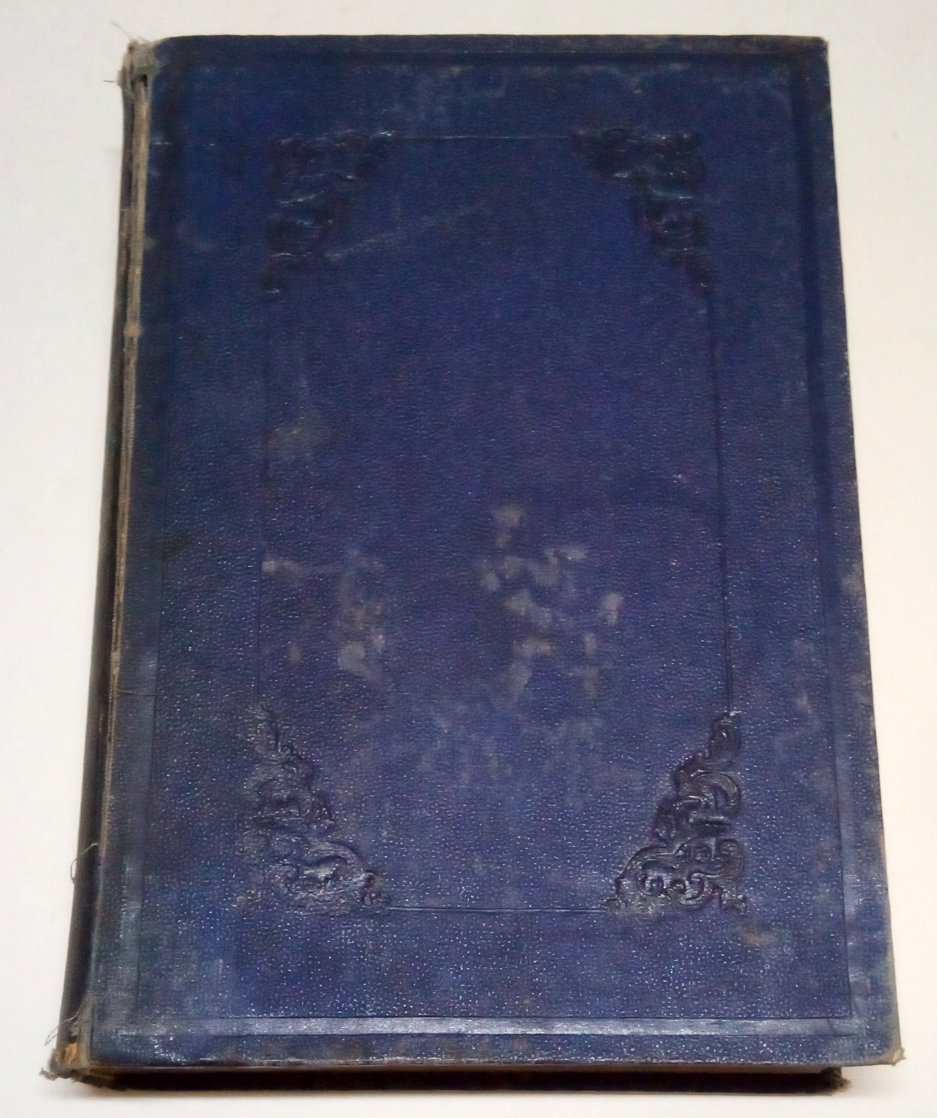 Diccionario DoméSti…