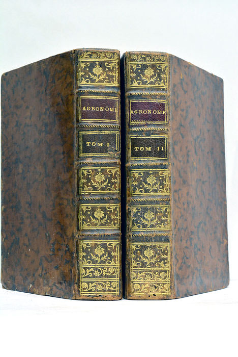 L'agronome Ou Dicti…