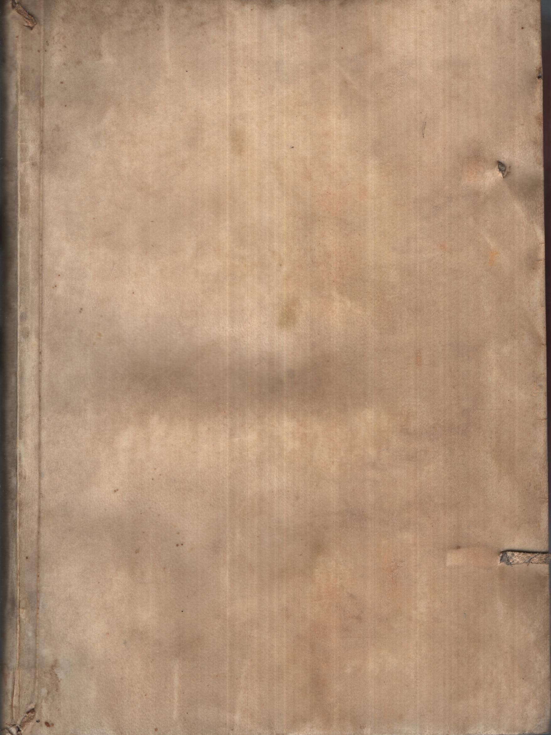 Fenix De CataluÑA. …