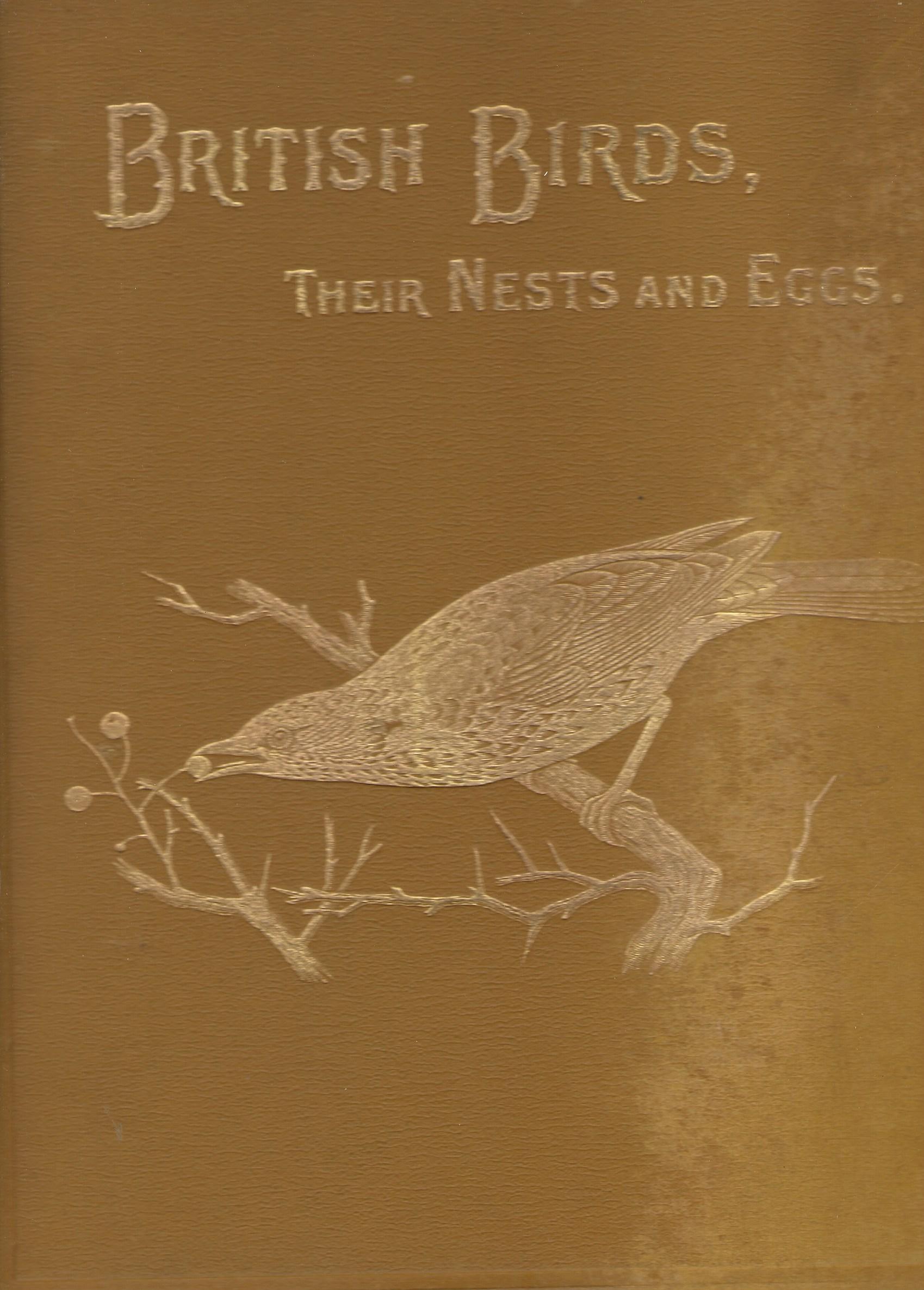 British Birds With …