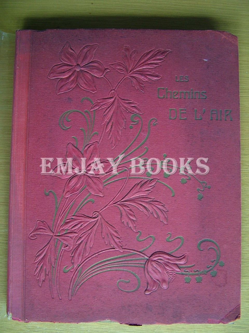 Les Chemins De L'ai…