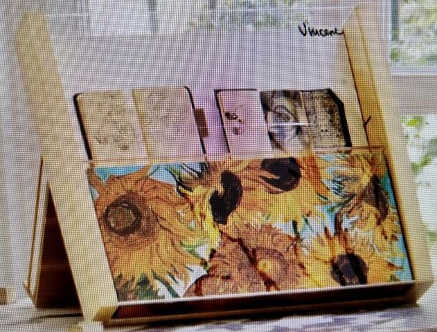 La Mirada De Vincen…