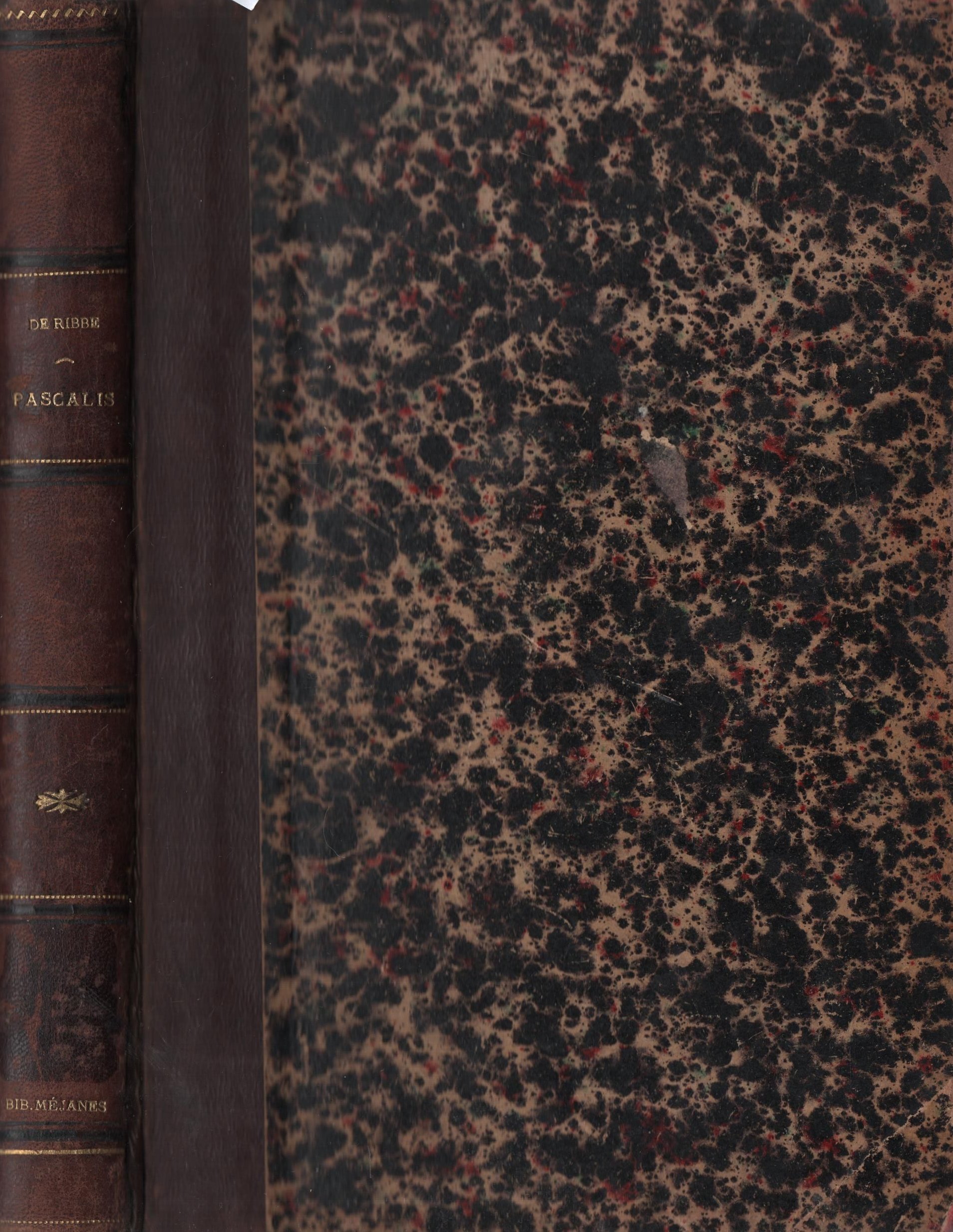 Pascalis, éTude Sur…