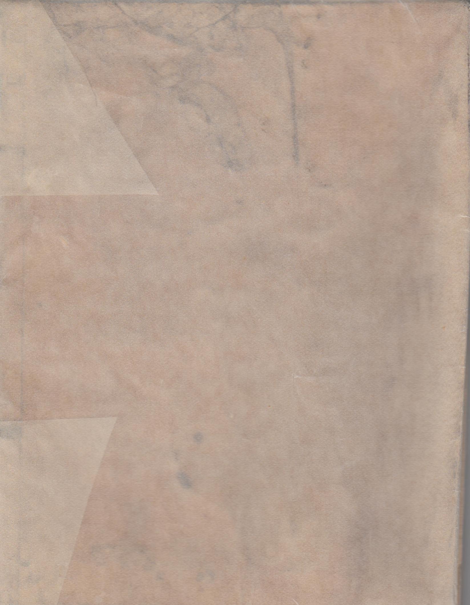 Perfeyto Capitam. M… - image