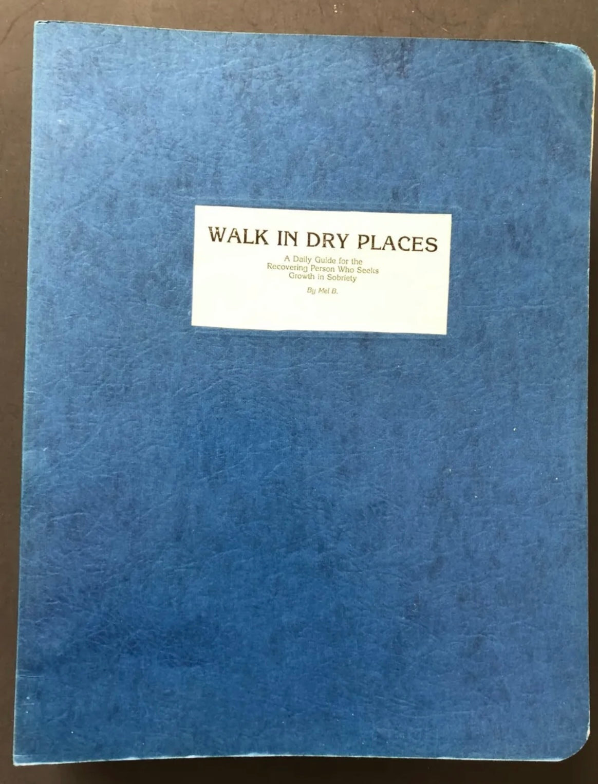 Mel B. Signed Origi… - image