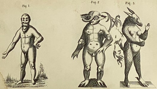 Transactions of the Medical Society of the State of New York, for the Year 1865. Bailey, Wm. H.; Hyde, Frederick; Robertson, C.A.; Taylor, Charles Fa
