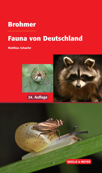 Brohmer ? Fauna von Deutschland: Ein Bestimmungsbuch unserer heimischen Tierwelt - Schaefer, Matthias