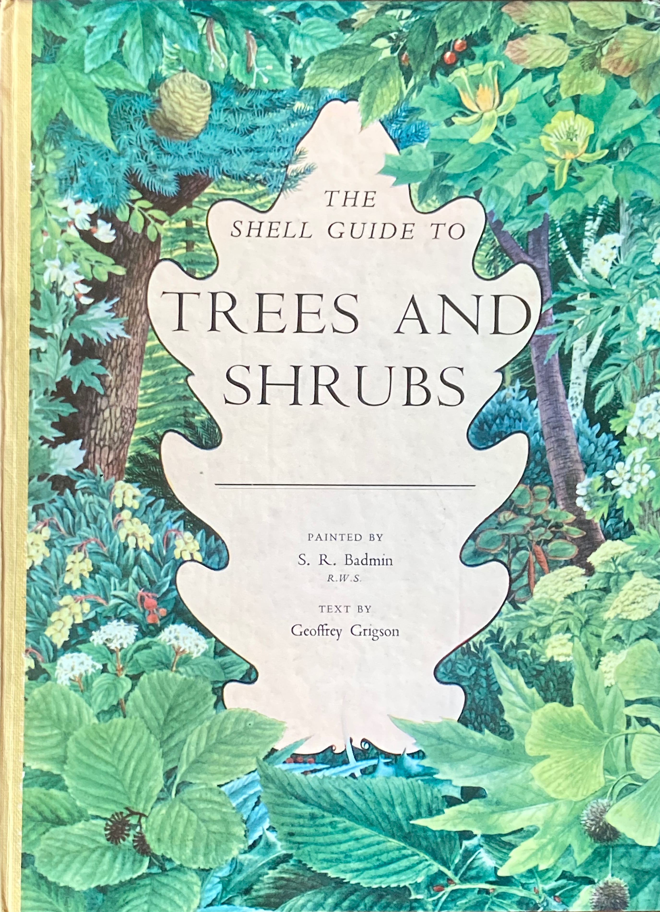 Shell guide to trees and shrubs de Badmin, S.R. (ill.); Grigson, G ...
