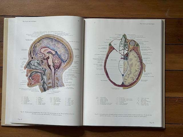 Pernkopf Anatomy, Second Edition: Atlas of Topographical and Pernkopf Anatomy, Second Edition: Atlas of Topographical and