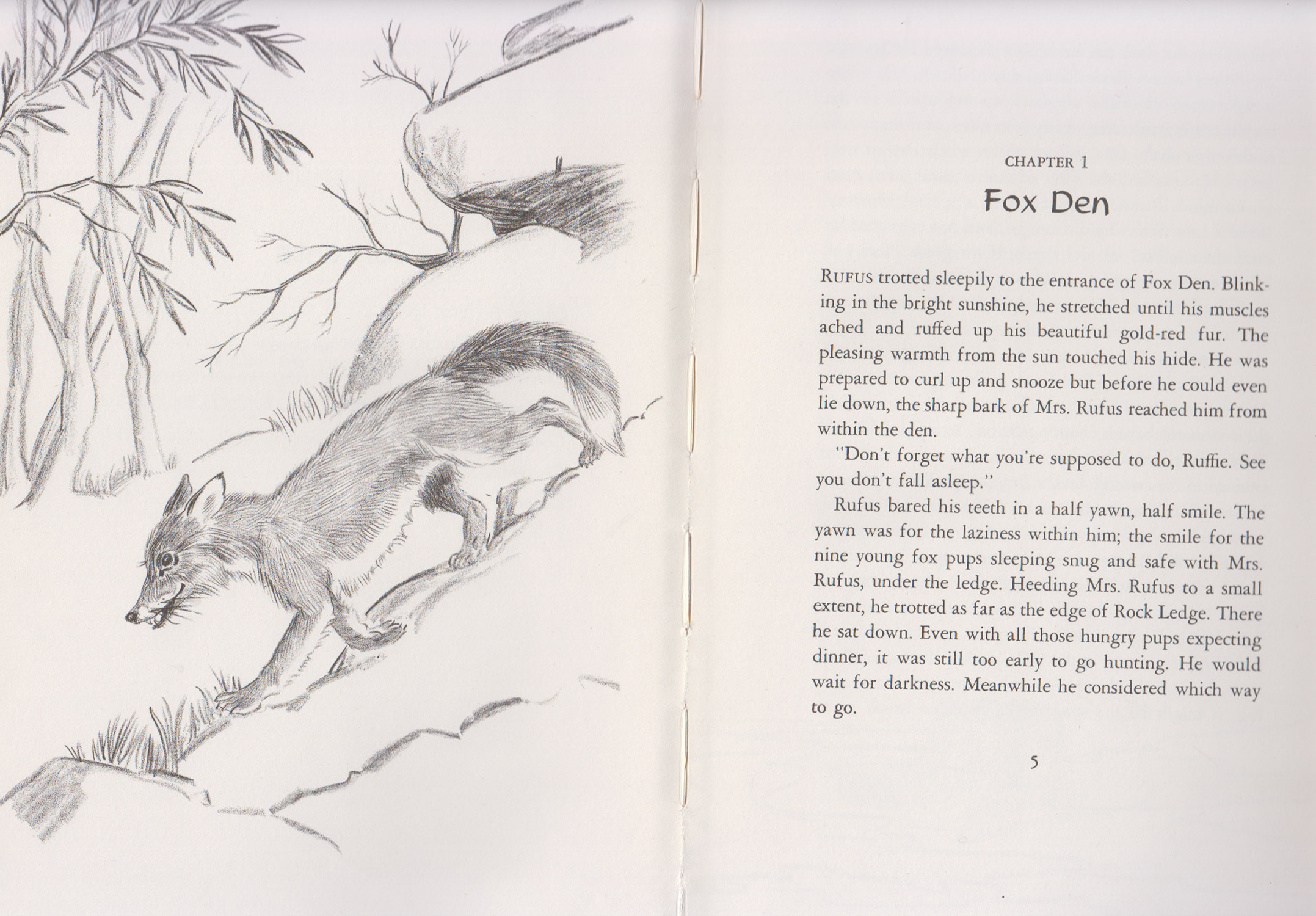 Rufus by Hogner, Dorothy Childs: Near Fine Hardcover (1955) First