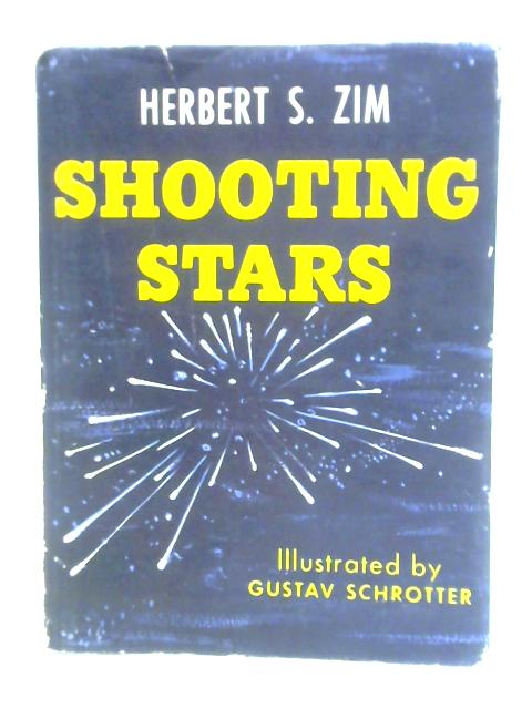 駿河屋 -<中古>ヤスダスズヒト画集 Shooting Star Journey（限定
