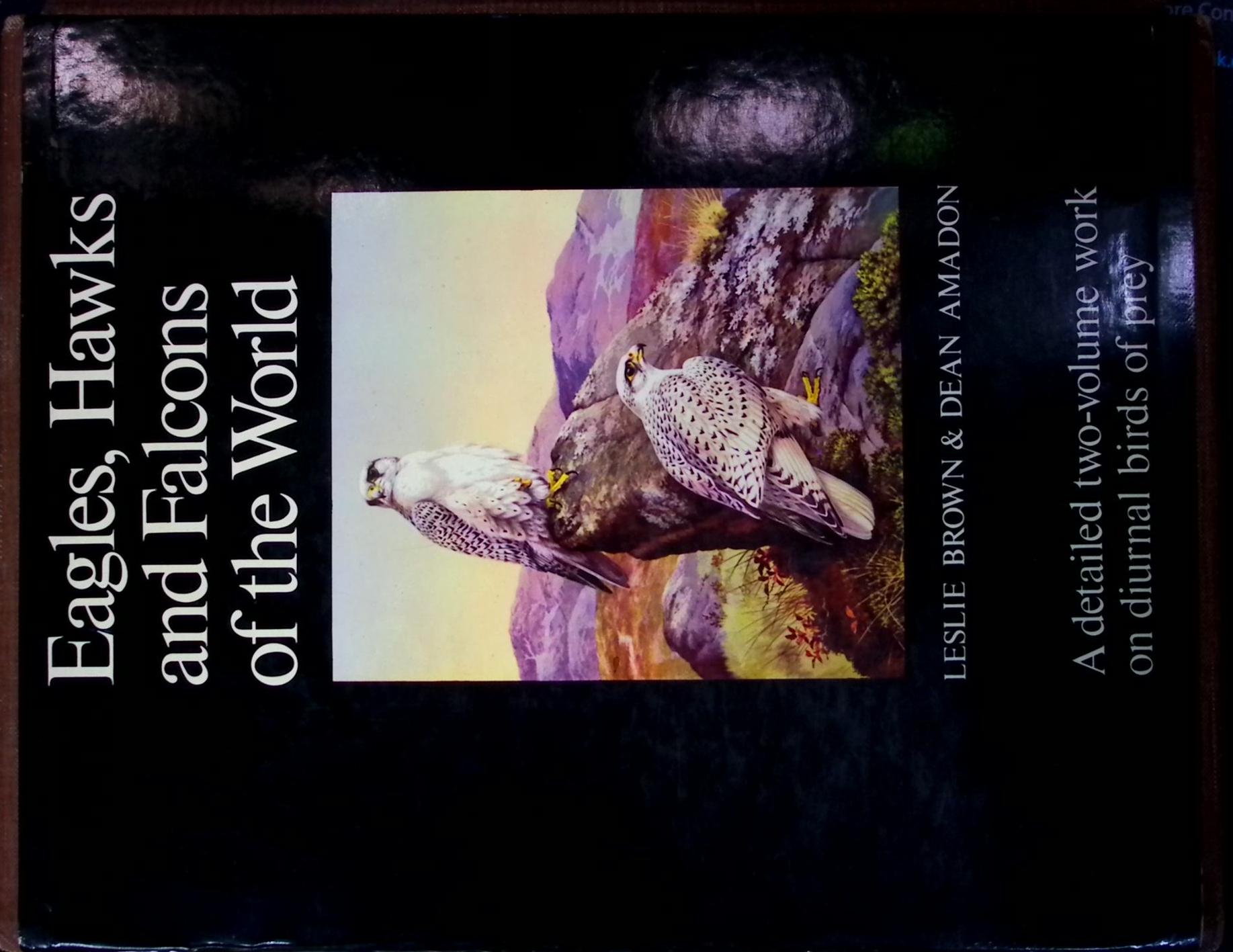 人気のクリスマスアイテムがいっぱい！ 2 World. the of Falcons and Hawks Eagles, volume by set 洋書