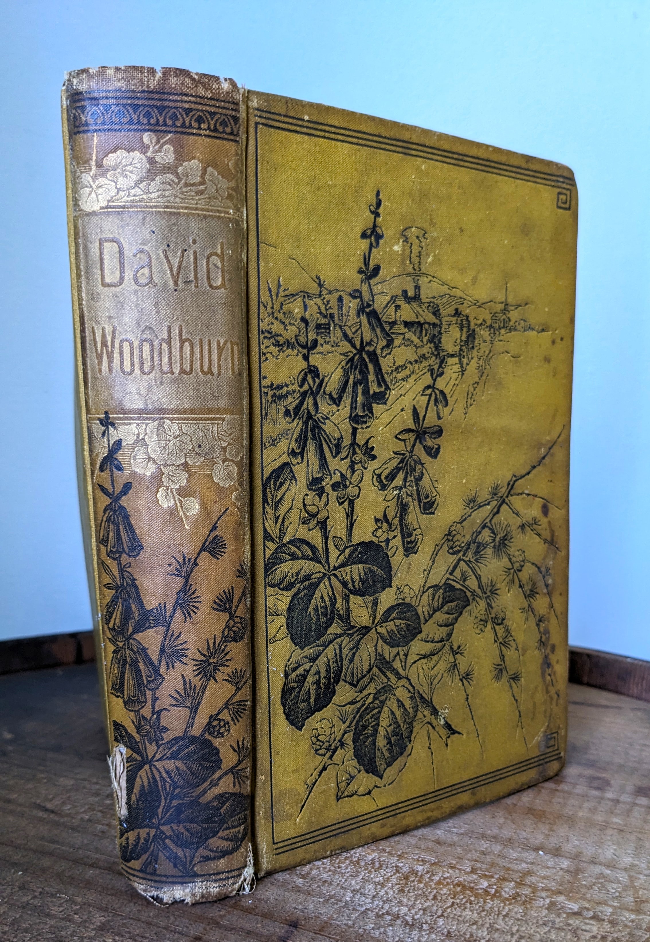 David Woodburn, the Mountain Missionary Curris Brandon [Assez bon] [Couverture rigide]